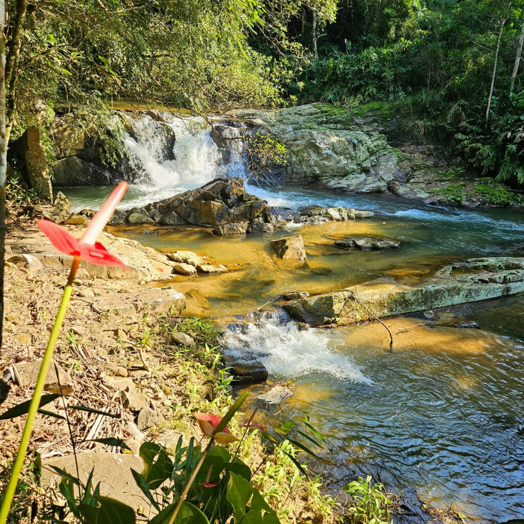 Um Passeio Virtual