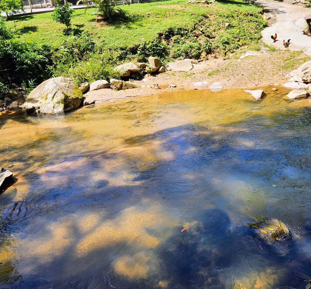 Natureza Exuberante